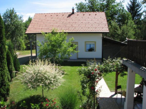 Apartment Ilija, Rakovica